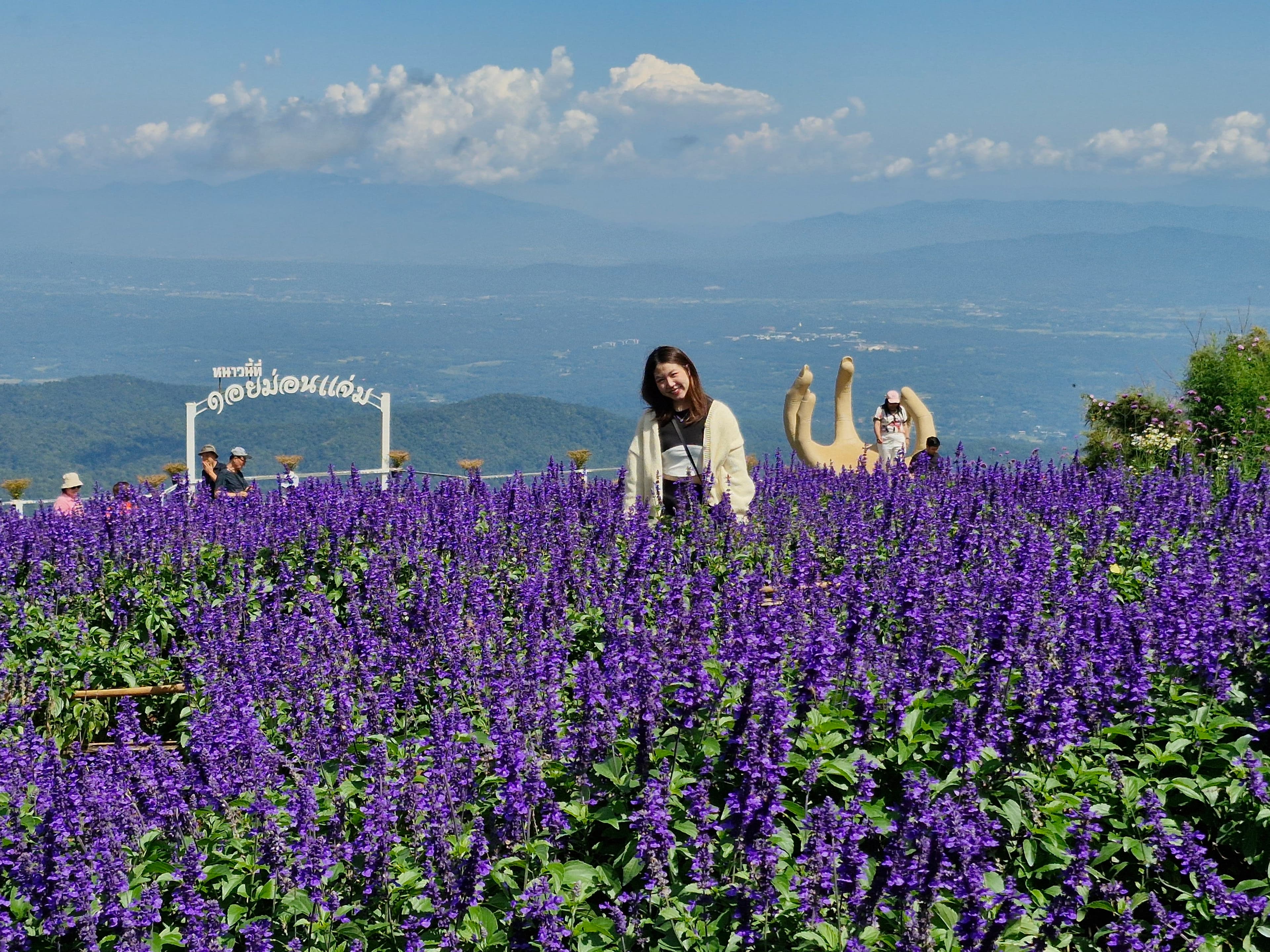 Chiang Mai | Scenic Mon Jam Hill & Cozy Elely Café Half-Day Tour 