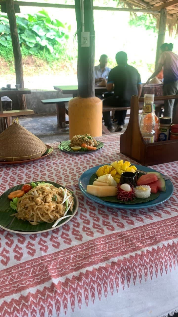 RanTong Elephant Sanctuary 