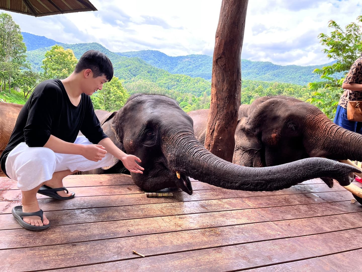 Chiang Mai Soulful Escape: Elefin Farm Elephant cafe, Cypress Lanes & Baan Kang Wat