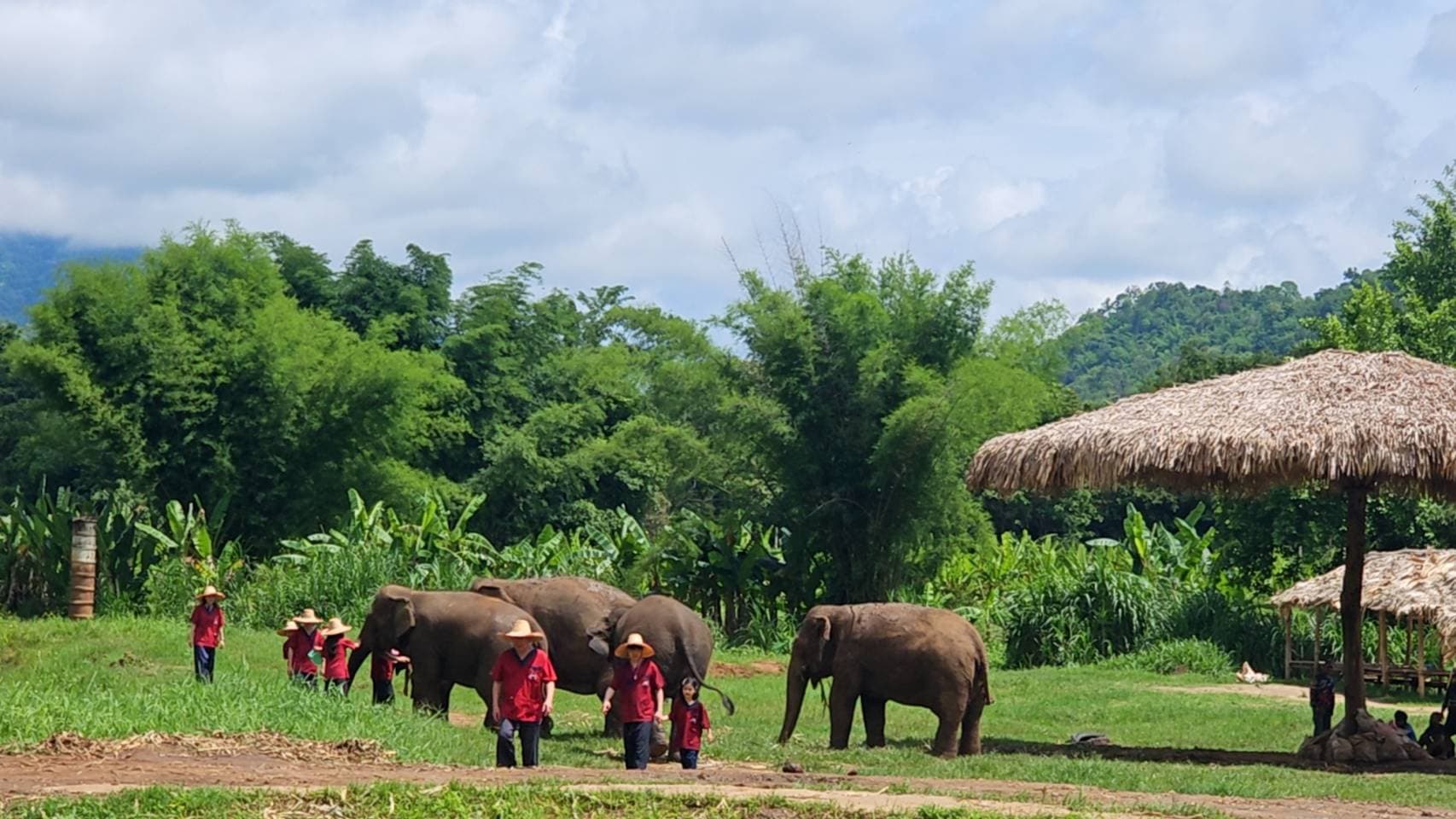 RanTong Elephant Sanctuary 