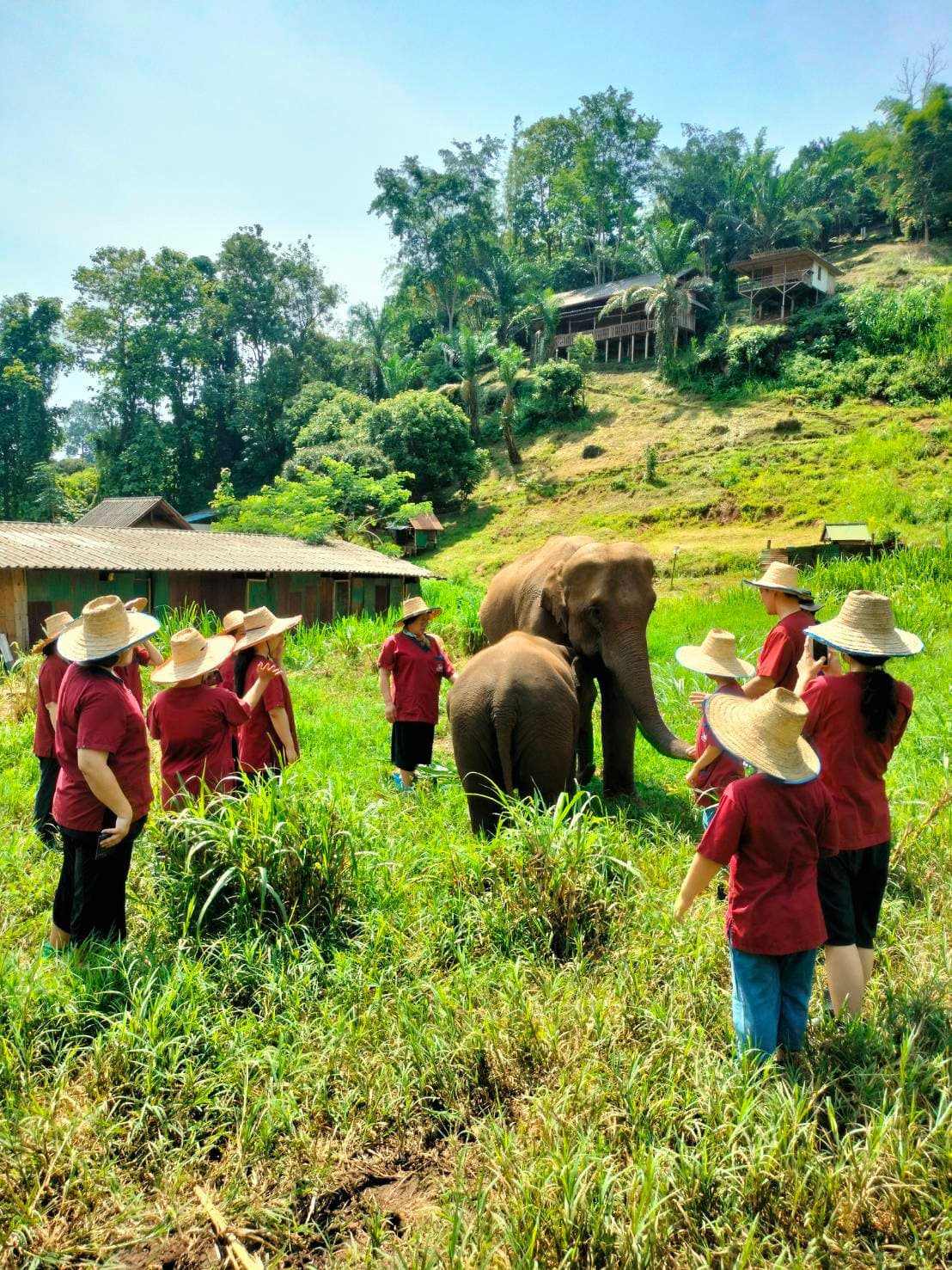 RanTong Elephant Sanctuary 