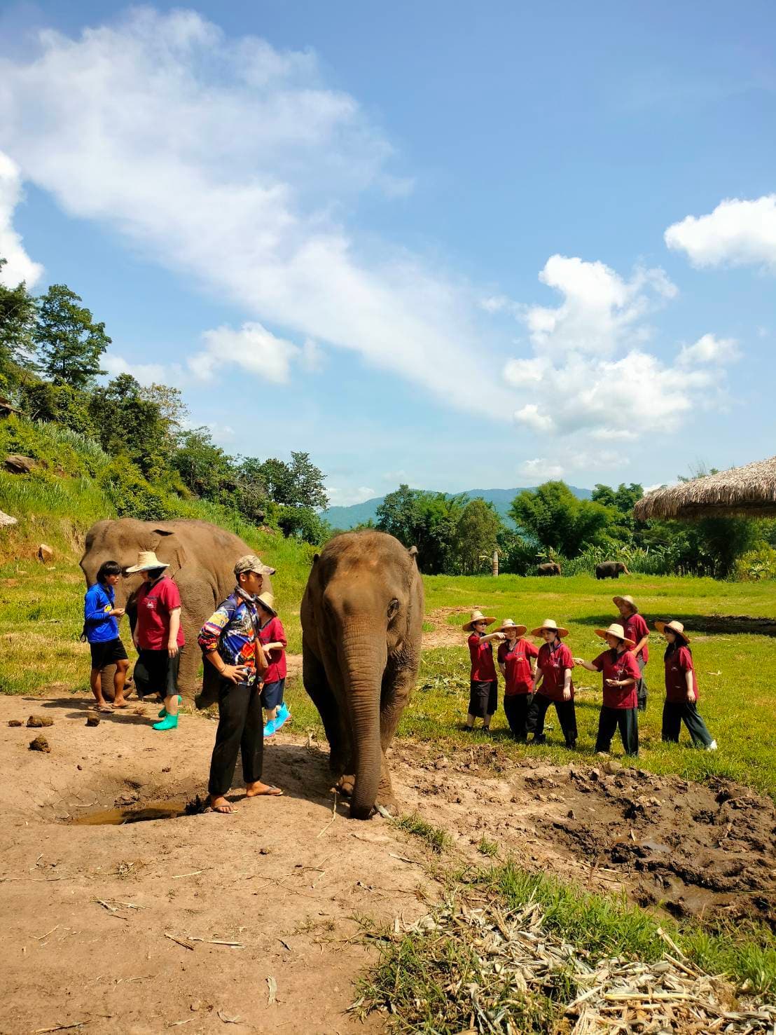 RanTong Elephant Sanctuary 