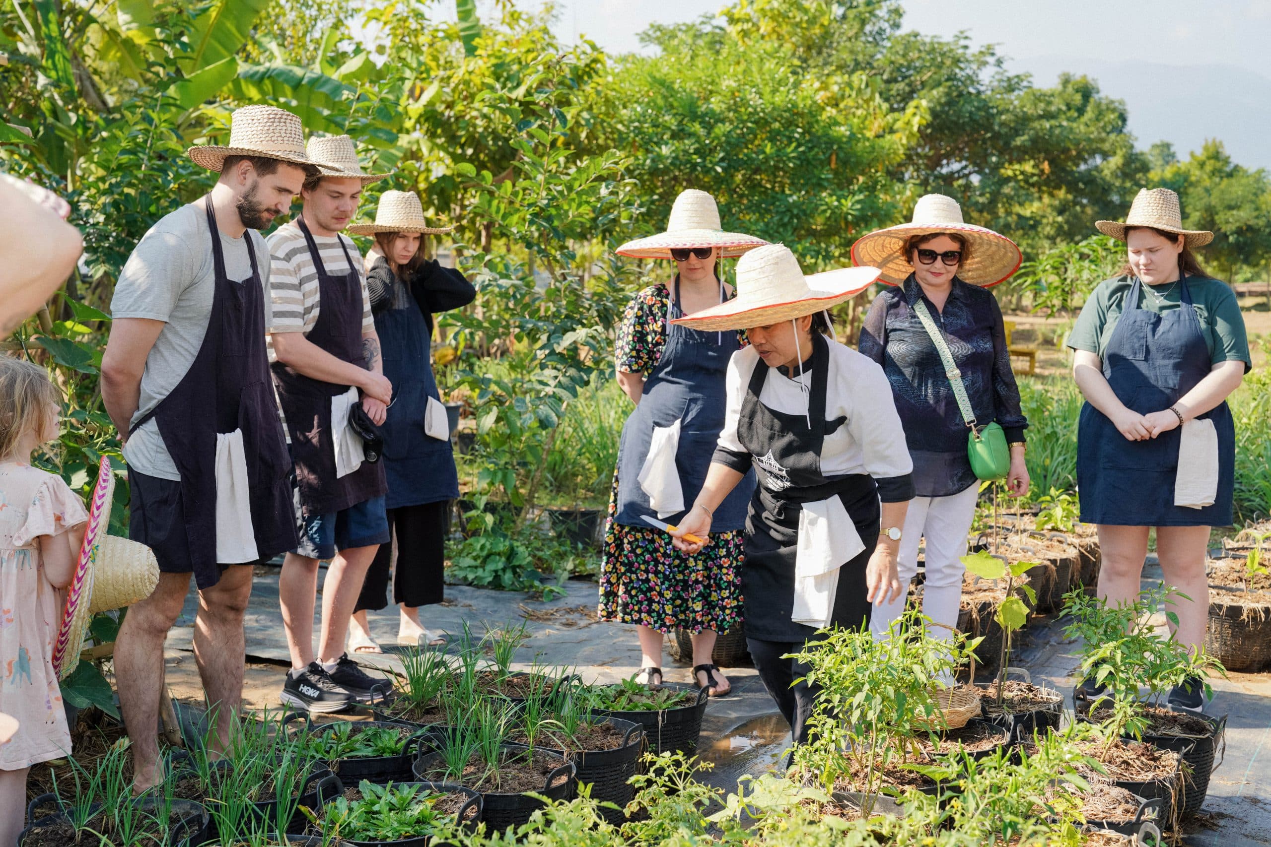 The rice barn thai cooking farm