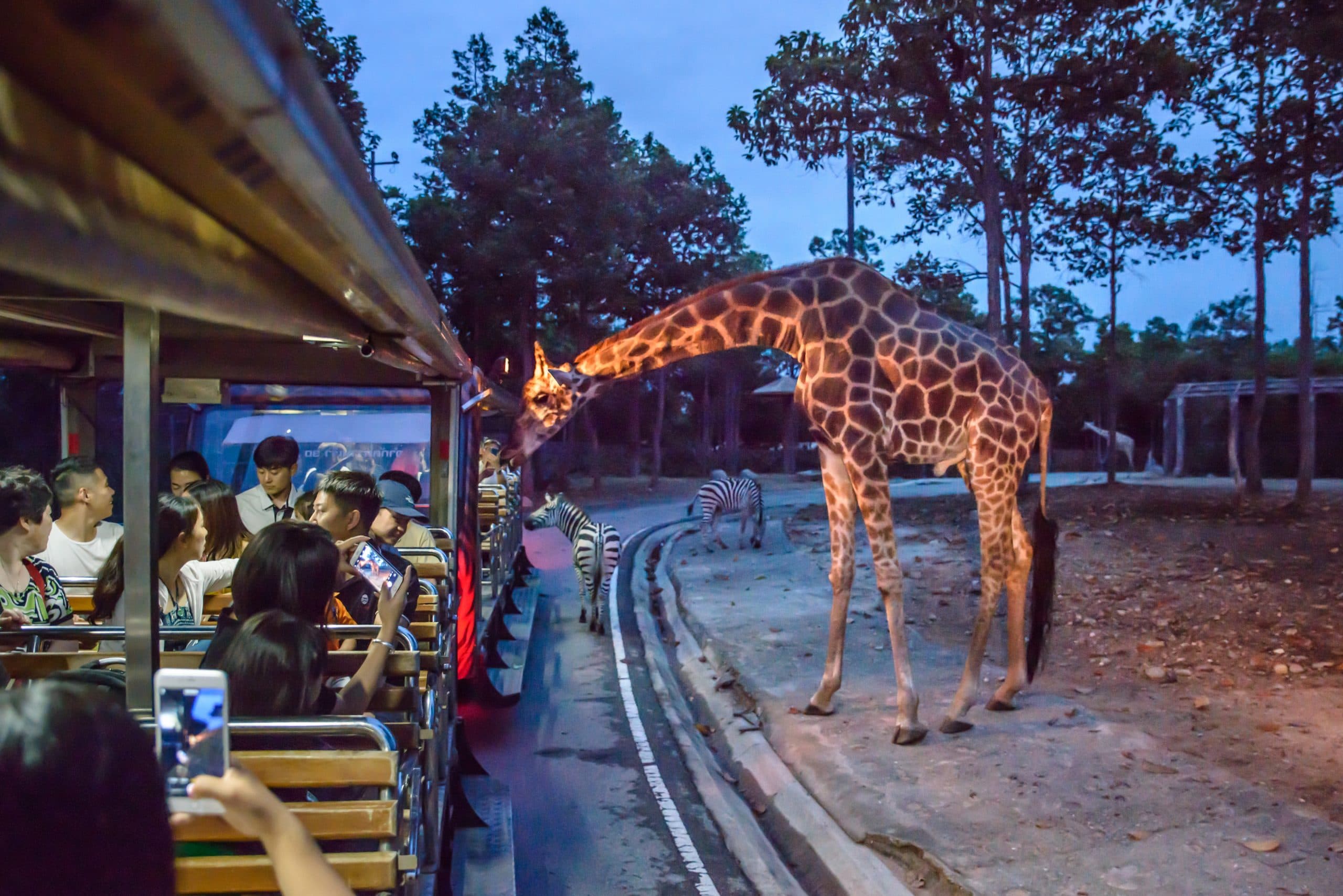 ChiangMai Night Safari