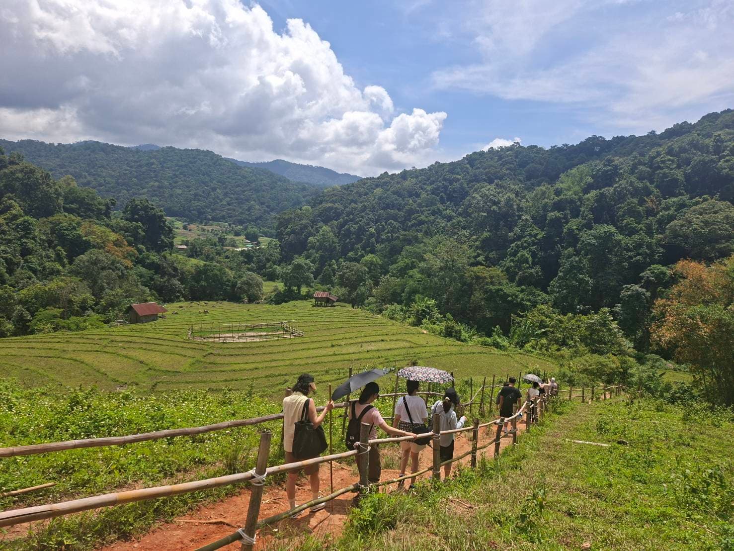 Chiang Mai: Doi Inthanon National Park One-Day Highlights Experience with Scenic Trekking