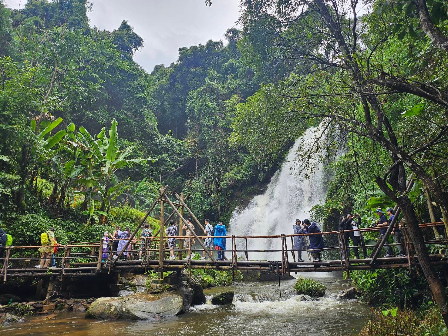 Chiang Mai: Doi Inthanon National Park One-Day Highlights Experience with Scenic Trekking