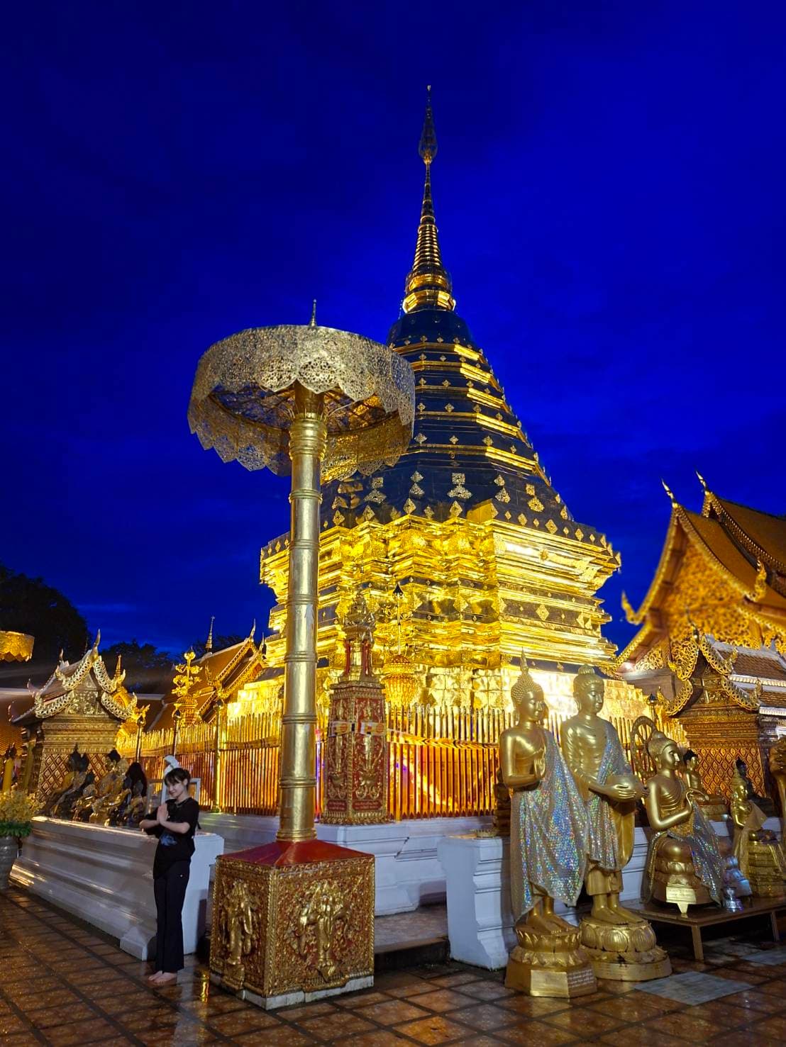 Chiang Mai | Doi Suthep and Wat Umong Night Tour