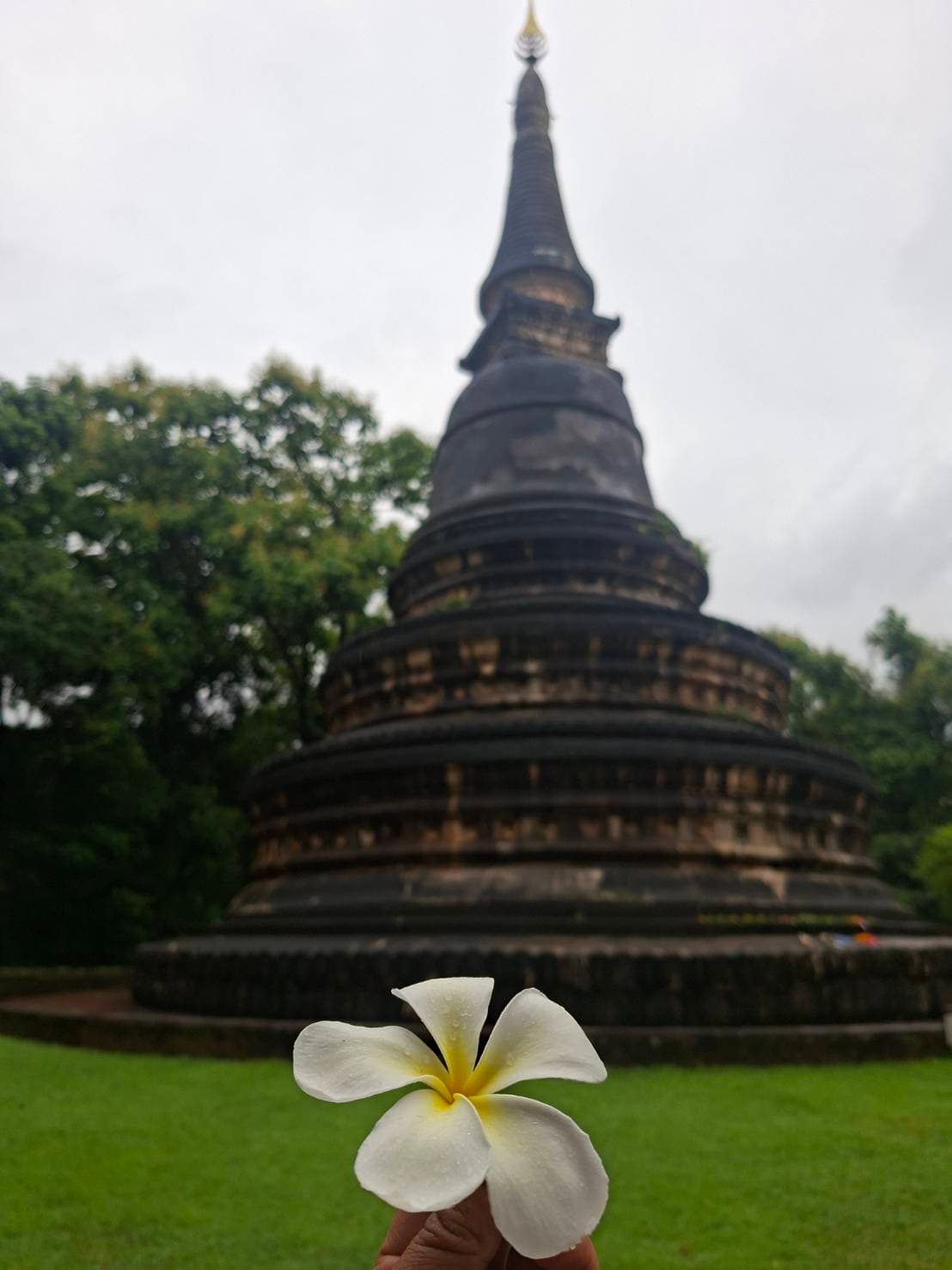 Chiang Mai | Doi Suthep and Wat Umong Night Tour