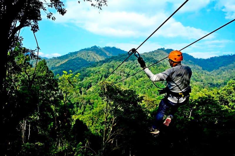 KingKong Smile ZIpline - Ultimate