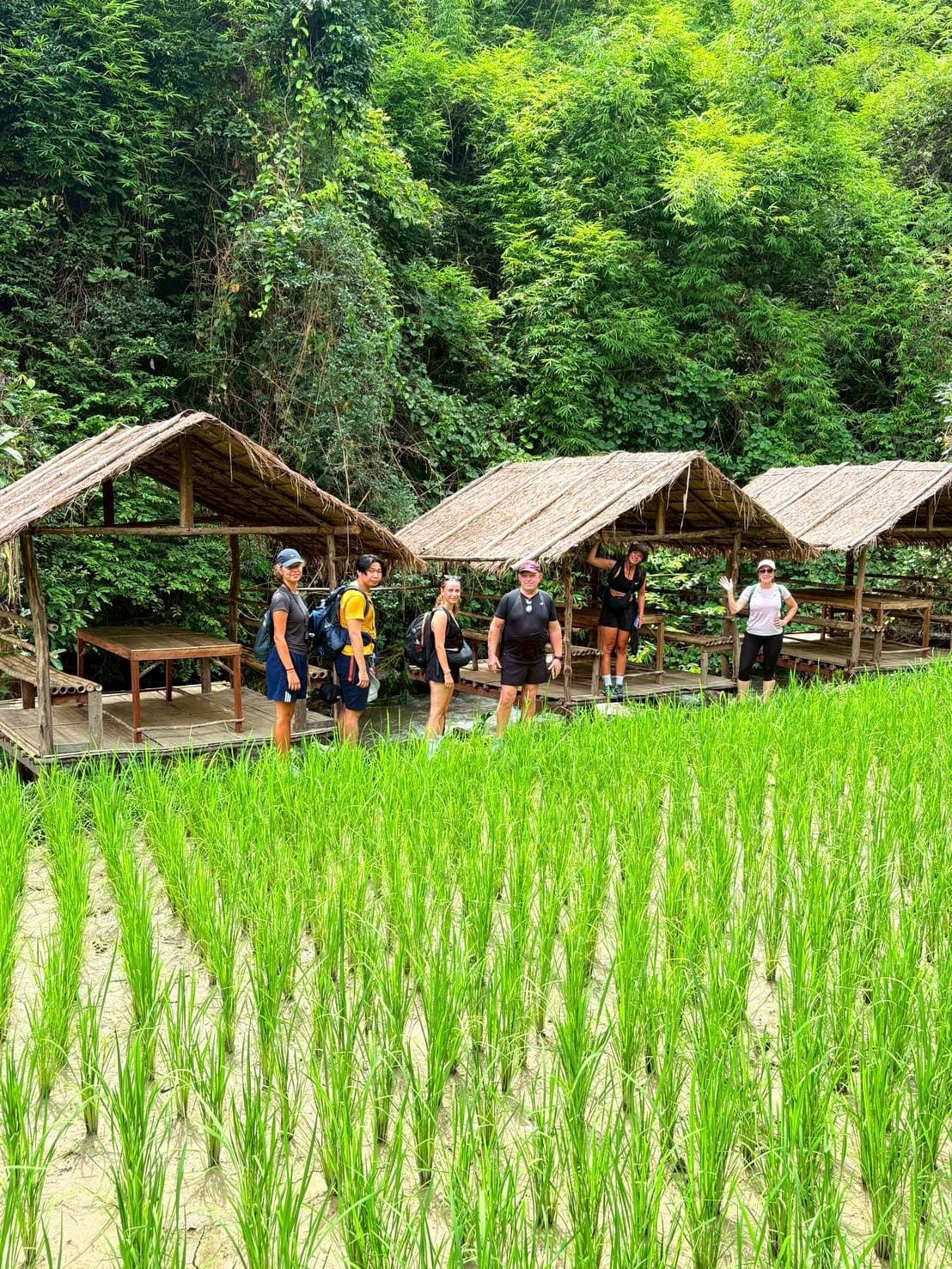 Chiang Mai Oneday Trekking