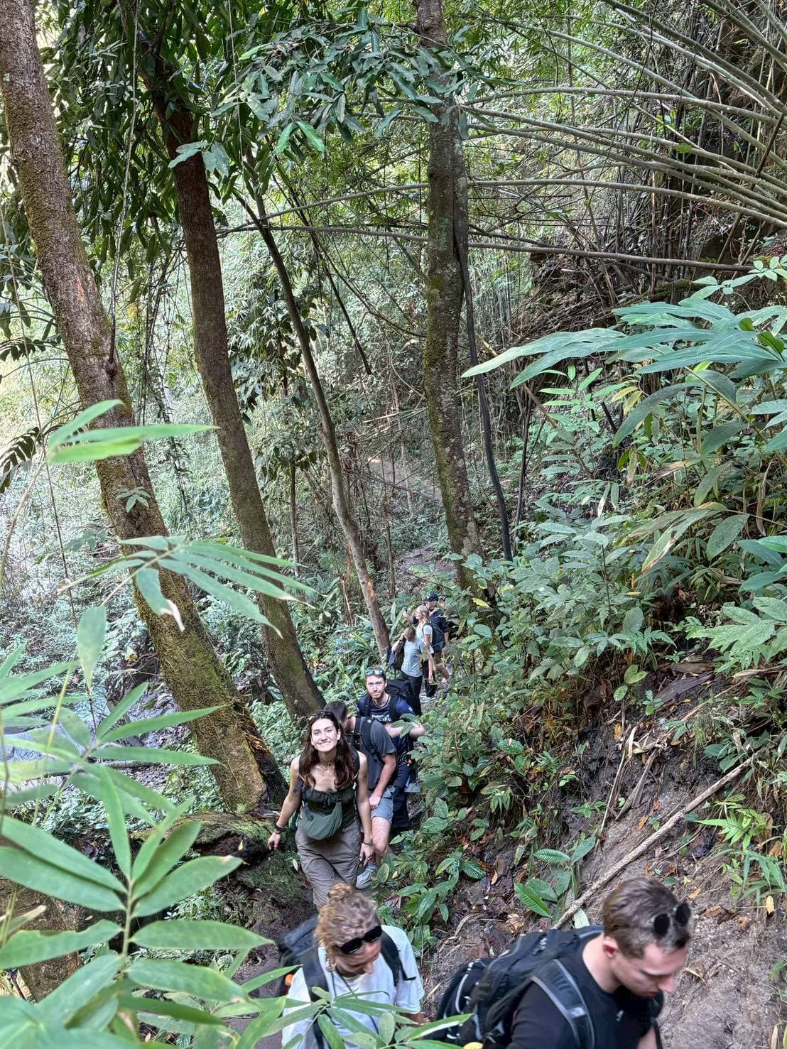 Chiang Mai Oneday Trekking