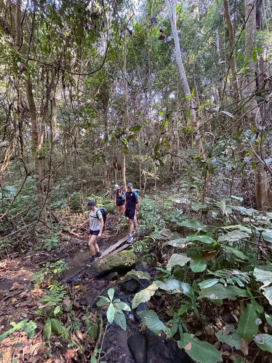 Chiang Mai Oneday Trekking