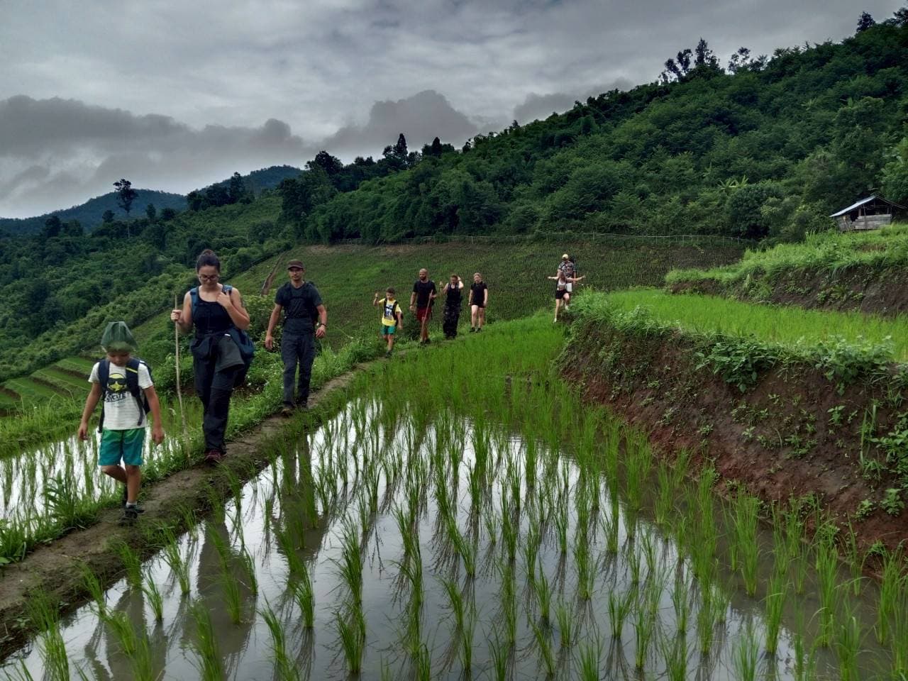 Start Trekking