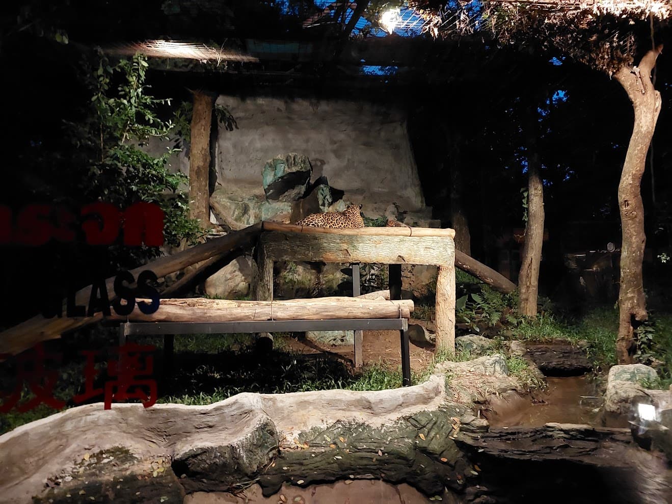 ChiangMai Night Safari