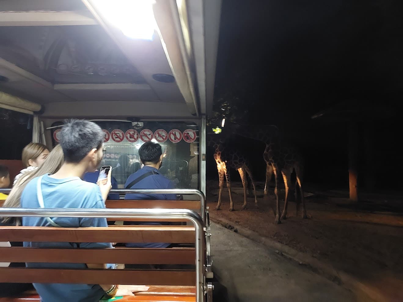 ChiangMai Night Safari