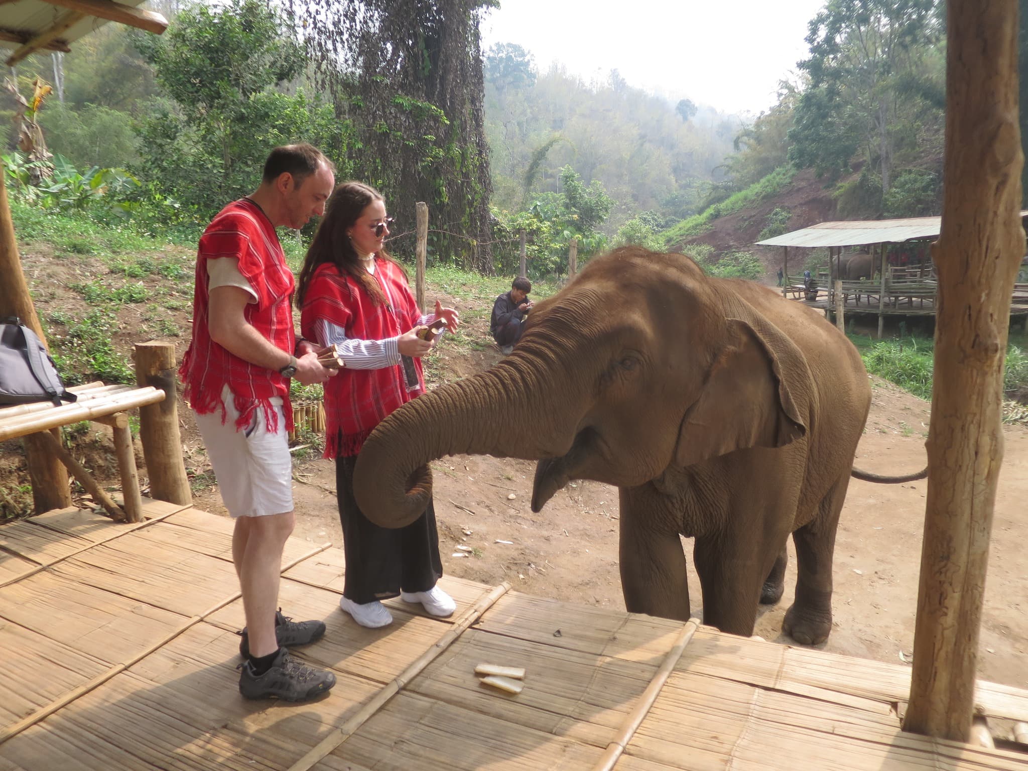 Day Trip : Sticky waterfall, White water rafting and Elephant care