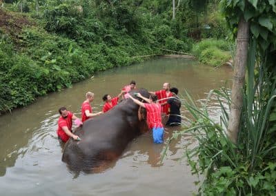 Day Trip : Sticky waterfall, White water rafting and Elephant care