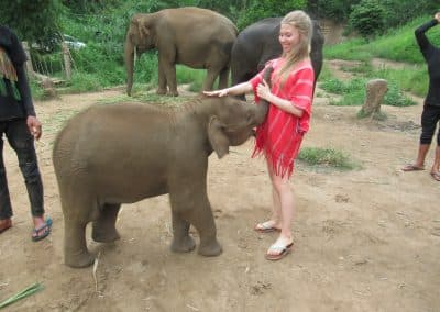 Day Trip : Sticky waterfall, White water rafting and Elephant care