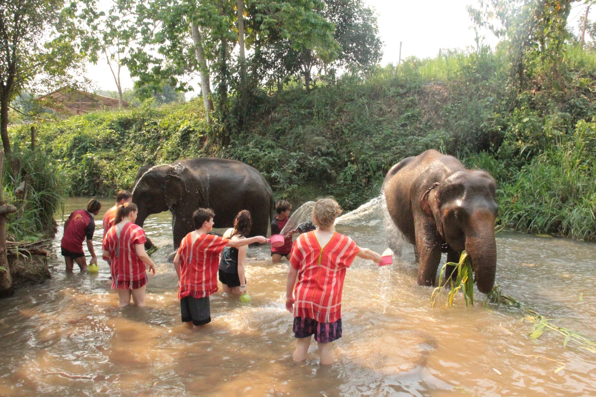 Day Trip : Sticky waterfall, White water rafting and Elephant care