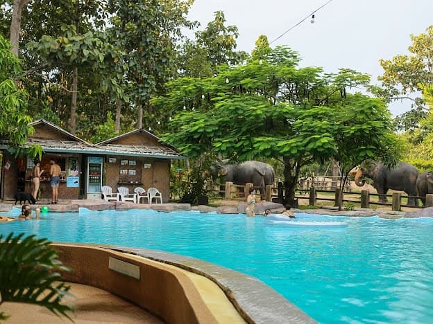 Maerim Elephant Sanctuary - Halfday visit