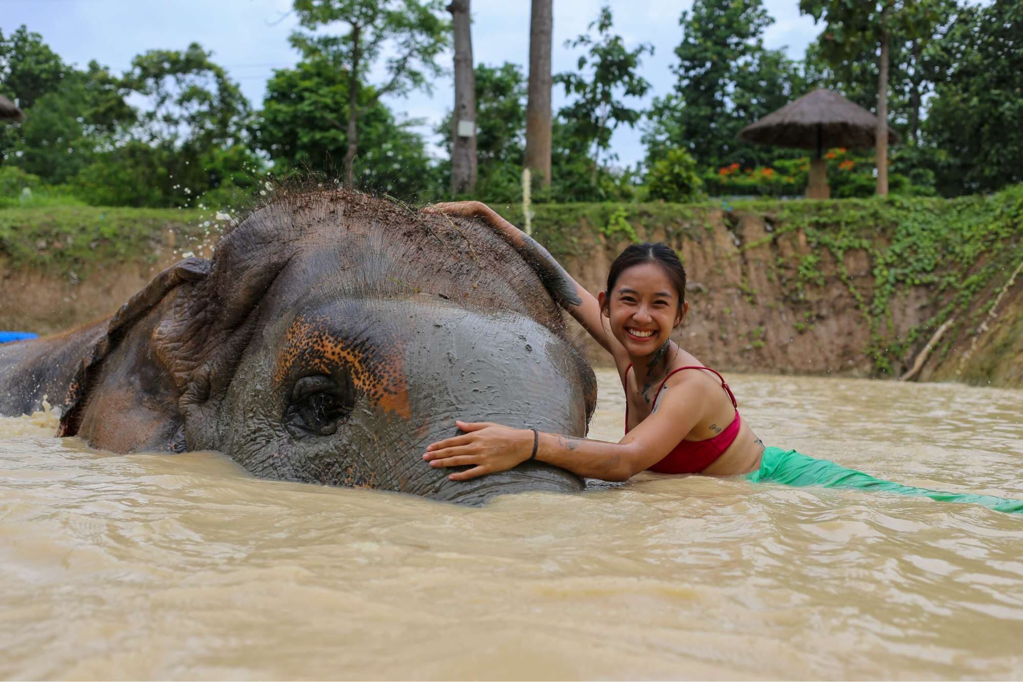 Maerim Elephant Sanctuary - Halfday visit