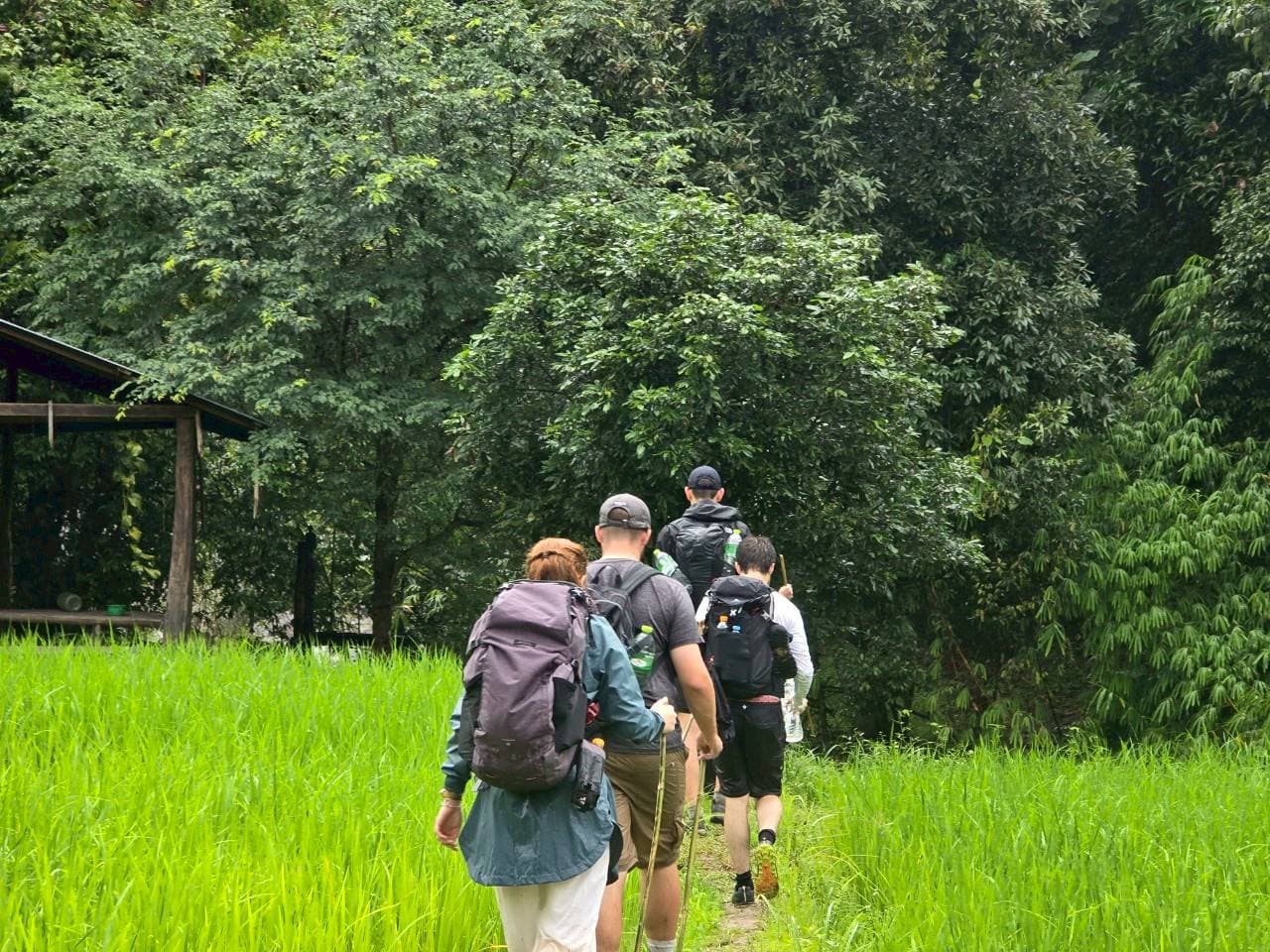 徒步之旅