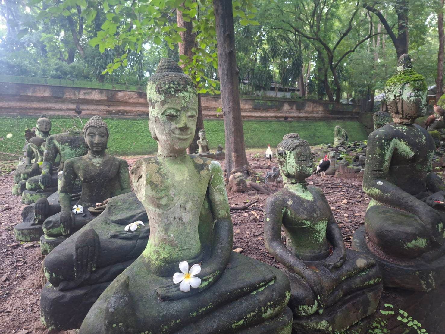 Visita al templo Wat Umong